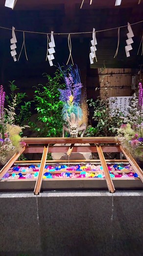 東京大神宮の七夕祭りと可愛いスポット