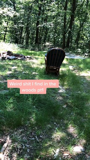 Exploring the Mysterious Forest: A Nature Adventure