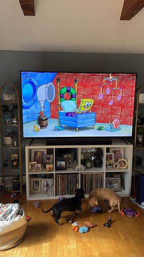 Thank you, Spongebob | Brock Baker