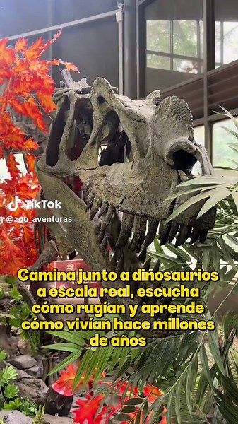 ¿Ya conoces Dinosaurium?🦕 ¡Ven a aprender y sorprenderte!🙌🏻 📍Zoológico de Chapultepec #parti #dinosaurios #dinosaurios🦖 #jurassicpark #cdmx #cdmxtiktok #mexico