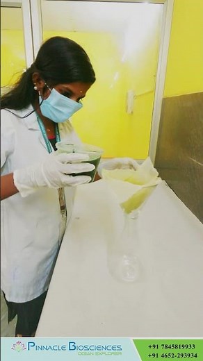 Phycocyanin extraction from Algae by Scott Christian college students #scottcollege #microalgae