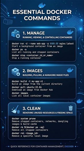 Docker Container Basics in 60 Seconds! 🐳📦