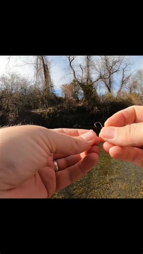 Why This Bait Attracts More Fish