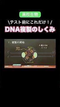 Master DNA Replication Once and For All! #FinalExams #HighSchoolBiology