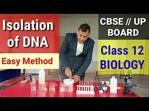 Isolation of DNA | 🧬 isolation from Banana | Class 12 DNA isolation practical | cbse class 12