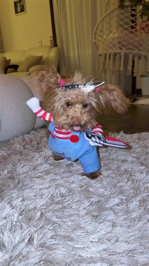 Explore the Glamorous Life of Model Nova