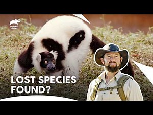 Forrest Galante Searching for Pachylemur Lemur | Extinct Or Alive S1 Ep4,5,6 | Animal Planet India