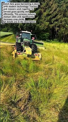 Modern Grass Harvest: High Efficiency with Tractors and Mowers
