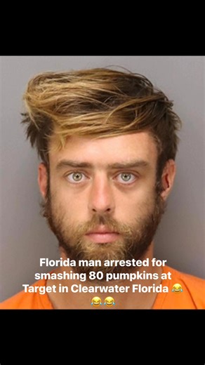 Pinellas County Arrests and Mugshots on Reels