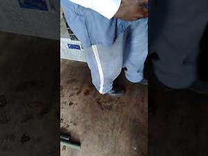 Real Florida prison stories