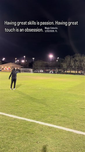 (Skills before all) Dad, I know what you saying. Why make basic skills look so basic.-Magic Celestin!