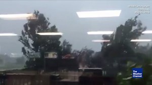 Wind whips through the trees just outside the WIBW 13 Weather studio in Topeka, Kansas. | The Weather Channel