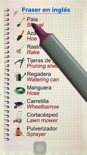 Learn English Easily with Quick Phrases