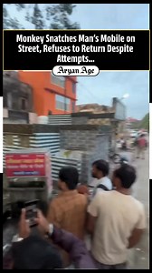 Monkey Snatches Man’s Mobile on Street, Refuses to Return Despite Attempts... | Aryan Age