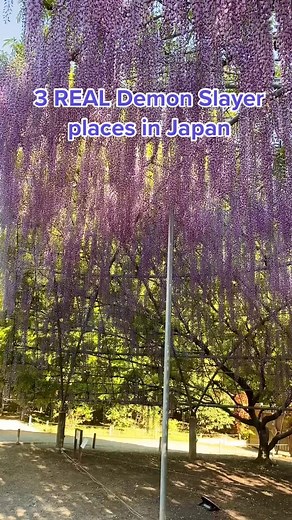 Discover 3 Real Demon Slayer Locations in Japan