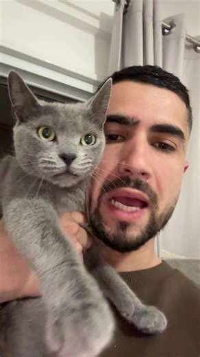 angry_cat_shop (@angry_cat_shop)’s videos with original sound - angry_cat_shop