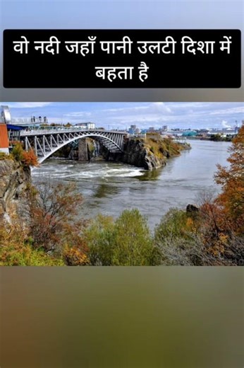 Reversing Falls Mystery Explained #youtubeshorts #viral #shortsvideo #shorts