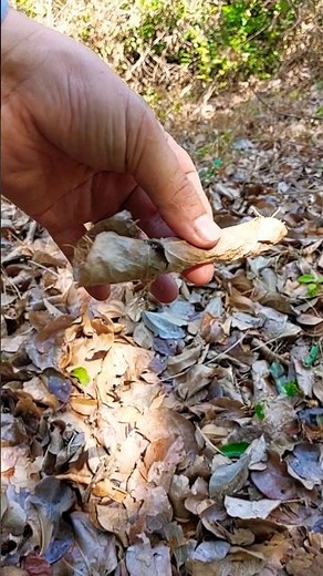 DIY- very simple to make cigarette #diy #Cigarette
