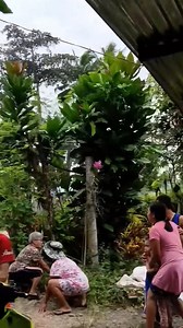 1.7M views · 13K reactions | PATULOY ANG AFTERSHOCKS -- PHIVOLCS Nataranta ang mga residente matapos maramdaman ang malakas na lindol na may magnitude 7.5 sa Davao Oriental kaninang alas-9:43 ng umaga, Biyernes, Oktubre 10. Sa video ni Glenn Vlog, makikita ang pag-uga ng mga gusali at takot ng mga tao habang tumatakbo palabas ng kanilang mga bahay. Ayon sa Phivolcs asahan pa rin ang aftershocks at naglabas na rin ng #Tsunami Warning sa lugar. | BChannel news | Balisong Channel | Facebook