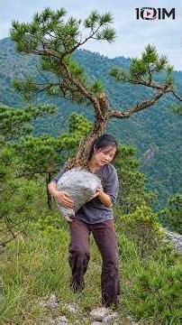 Timeless Beauty of Bonsai | Sustainable Nature Art, Patience & Living Cultural Heritage