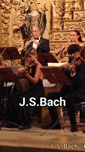 Bach Overture C major #bach #horstsohm #orchestra #classicalmusic #music #live #shorts #shortsmusic