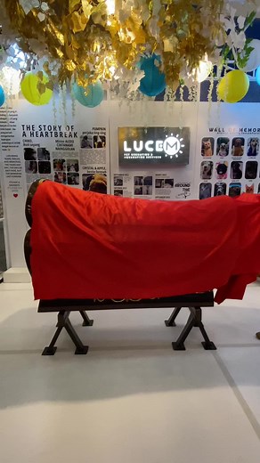 Lucem Kremasi Hewan | IIPE 2024 #Petianabul #Siupan