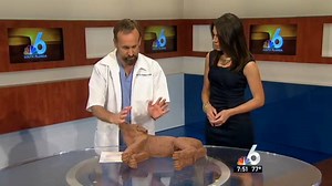 31K views · 177 reactions | Here's how to give CPR to your dog in...