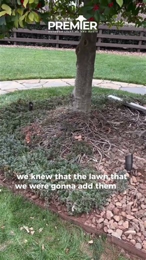 Professional Landscape Lighting Design in Bentonville, AR | Real Backyard Project