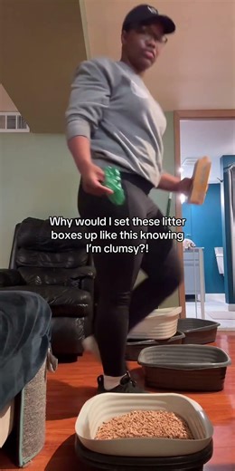 The clumsiest pet sitters ever 🤣