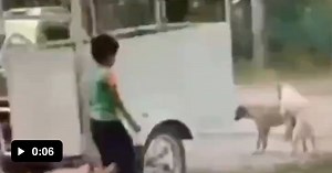 When you see couples making out outside - Video