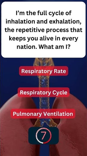Learning About Your Respiratory System! 🌬️ #RespiratorySystem 27