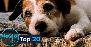 Top 20 Saddest Animal Deaths in Movies | Articles on WatchMojo.com