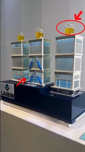 Seismic Isolation vs. No Protection – Shocking Earthquake Test!