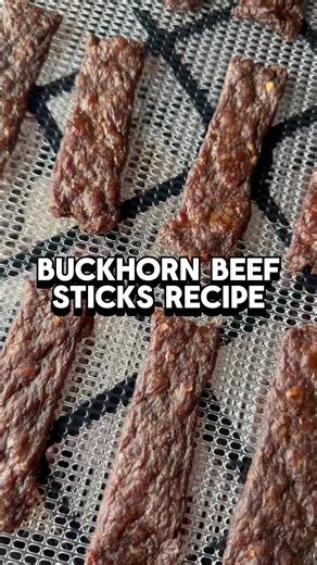 Buckhorn Beef Sticks