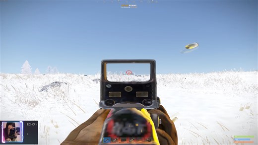 RUST 在这个全是AI宏和DMA的时代 像我这种300小时的萌新果断选择加入