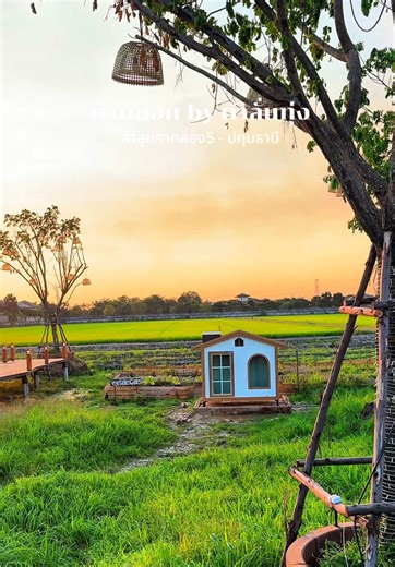 เปิดใหม่ ร้านอาหารอีสานกลางทุ่งนาที่ฟีลดีมาก #ลำลูกกาคลอง5 #ปทุมธานี #อาหารอีสาน #tiktokพาเที่ยว #ร้านอาหารปทุมธานี