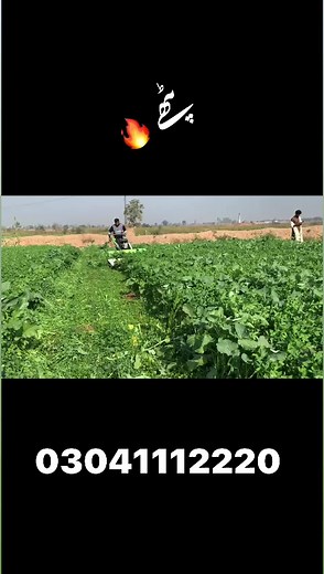 10K views · 144 reactions | FODDER REAPER CUTTER MACHINE BY SOBY AGRO MACHINERY | Soby Agro Machinery | Facebook