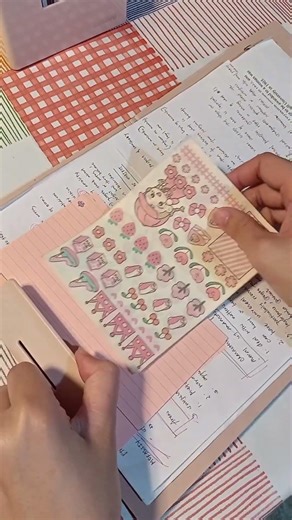 foldable folder ❤️ #file #organizer #pink