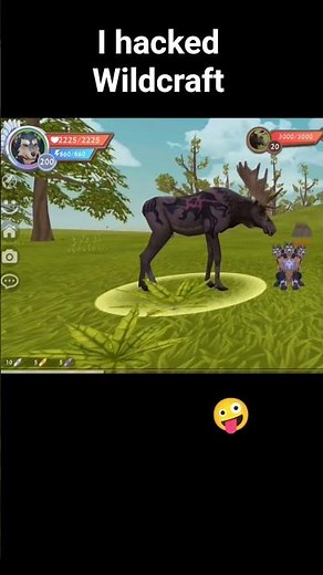 Wildcraft glitch , Wildcraft hack #wildcraft #edit