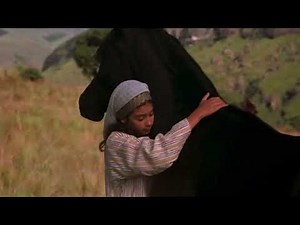 The Young Black Stallion (2003) - Movie Trailer