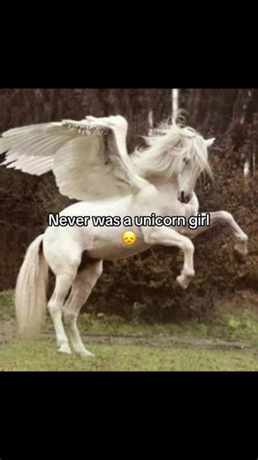 Exploring the Magic of Alicorns and Pegasi