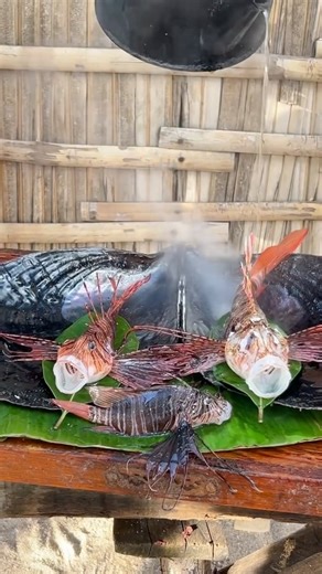 Frying Flying Fish: Crispy Exotic Seafood ASMR 🤤