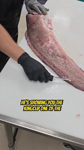 How to Fillet a Kingklip fish with Tommy Gomes and Tunaville Market and Grocery! - Part 3 🔪 Your Saltwater Guide is Sponsored by Promar & Ahi USA. | Your Saltwater Guide