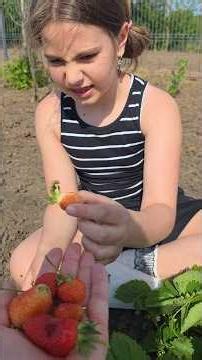 Iana in the countryside #7 - We picked strawberries 🍓 ❤️😋 #ianaandherfamily #countrylife