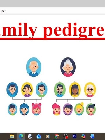 ‏Family Pedigree#est2 #act2#americandiploma#genetic