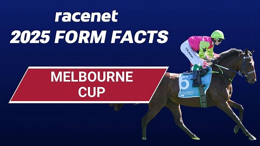 2025 Melbourne Cup Form Facts | Racenet