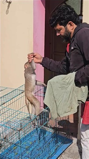 Look how intelligent Dild is and how he takes the medicine #gaumakasevak🙏❤️ #viral #short #like #...