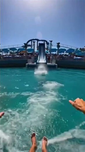 Waterslide into pool full of giant fish #funny #memes