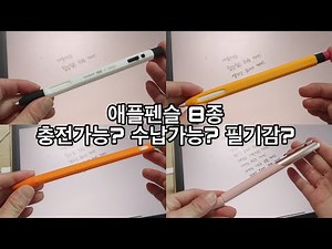 애플펜슬 케이스 총 8종 추천! 애플펜슬 필기감 개선, 충전가능 여부, 수납 가능 여부 | 아이패드 악세사리 추천