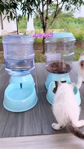 Bekas Makanan Kucing Otomatik 3.8L Tahan Lasak